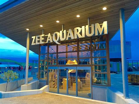 aquarium bergen op zoom
